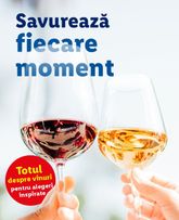 Lidl - De vinuri valabil de luni 28.09.2026