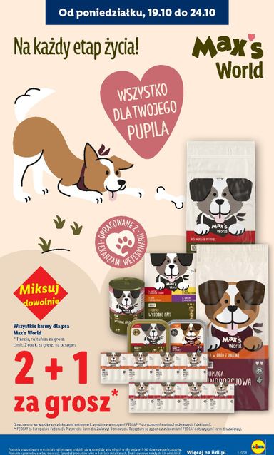 Gazetka Lidl - Lidl od 22.10. do 24.10. - strona 41