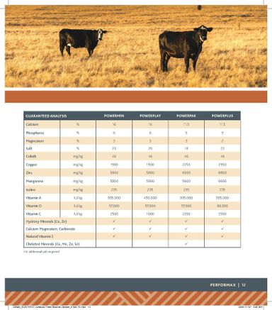 Flyer Co-op - Coop - Rural Routes valid since 01-15 until 01-06 - page 13