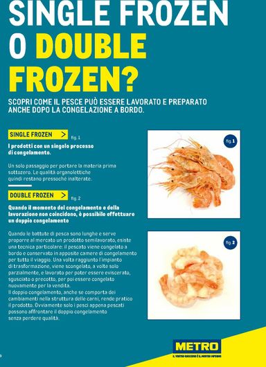 Volantino METRO - Metro - Catalogo Surgelati valido dal 01/01 al 31/12 - pagina 9