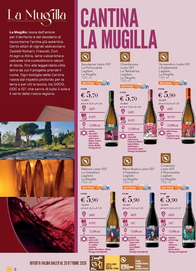 Volantino Conad City - Conad City - Gajardo valido dal 08/10 al 20/10 - pagina 8