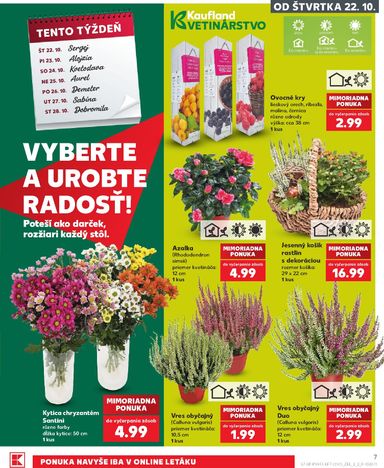 Leták Kaufland - Kaufland od 22.10. do 28.10. - strana 7