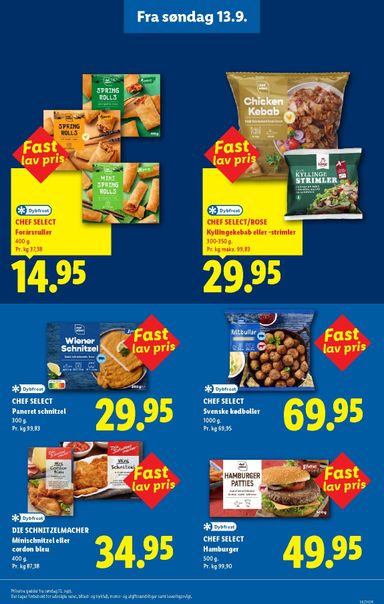 Brochurer Lidl - Lidl - Fast lav pris i Lidl gyldig fra 03.05. til 31.12. - side 15