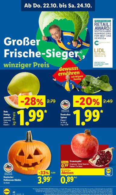 Prospekt Lidl - Lidl gültig ab 19.10. bis 24.10. - seite 60