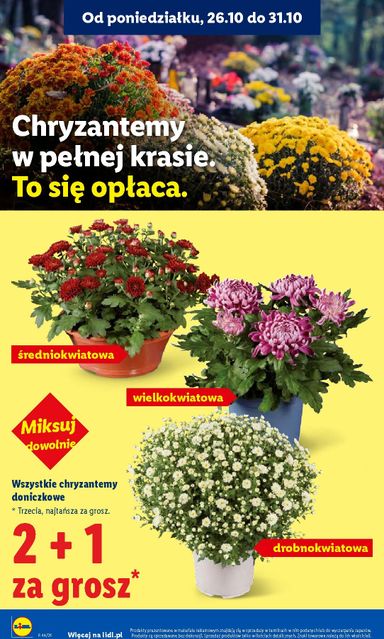 Leták Lidl Polsko - Lidl Polsko od 29.10. do 31.10. - strana 4