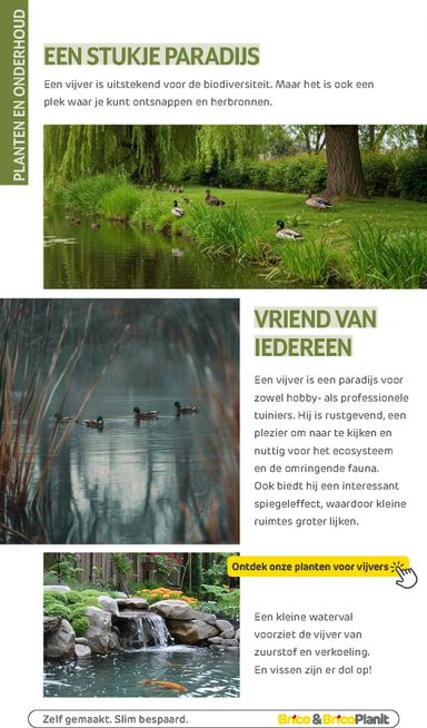 Folder Brico - Brico - Tuin catalogus van 01/03 tot 31/12 - side 198