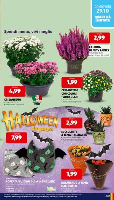 Volantino ALDI - ALDI valido dal 26/10 al 01/11 - pagina 33