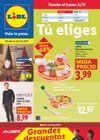 Lidl - Bazar