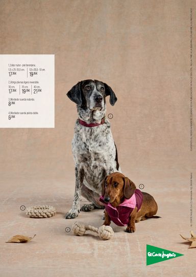 Folleto El Corte Inglés - El Corte Inglés - Especial Mascotas Otoño del 01/10 al 06/01 - página 8