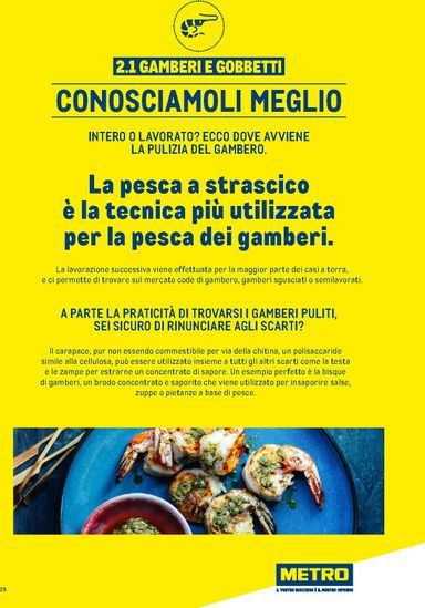 Volantino METRO - Metro - Catalogo Surgelati valido dal 01/01 al 31/12 - pagina 29