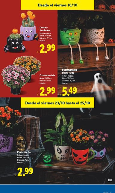 Folleto Lidl - Lidl - Folleto Especial del 02/10 al 31/10 - página 15