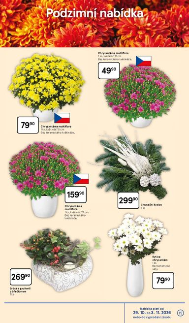 Leták Tesco - Tesco od 29.10. do 03.11. - strana 15