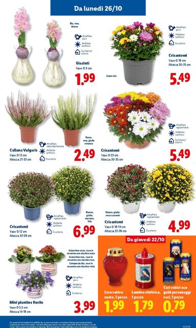 Volantino Lidl - Lidl valido dal 22/10 al 28/10 - pagina 37