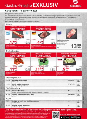 Prospekt Selgros - Selgros - Gastro Angebote gültig ab 05.10. bis 10.10. - seite 1
