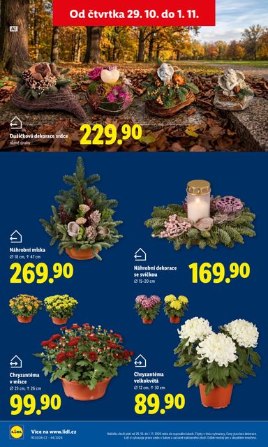 Leták Lidl - Lidl od 29.10. do 01.11. - strana 53