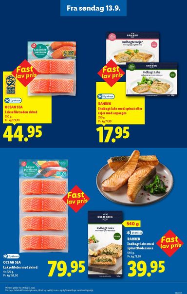 Brochurer Lidl - Lidl - Fast lav pris i Lidl gyldig fra 03.05. til 31.12. - side 11