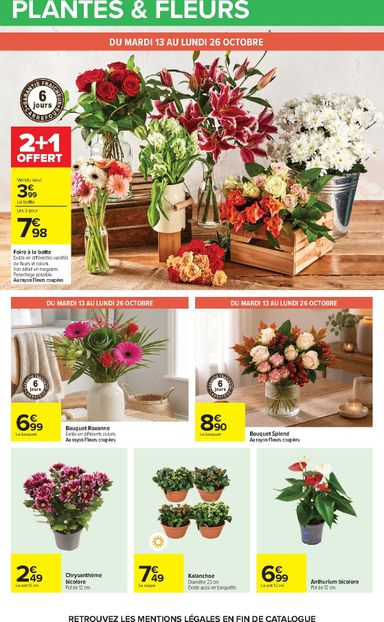Catalogue Carrefour - Carrefour valable dès le 13/10 au 26/10 - page 74