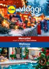 Lidl - Viaggi