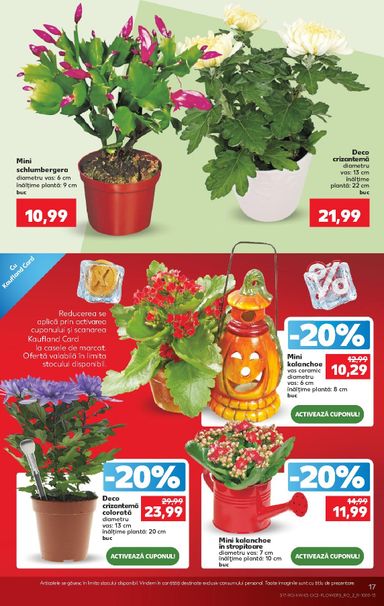 Catalogul Kaufland - Kaufland de la 21.10. până la 27.10. - pagina 17