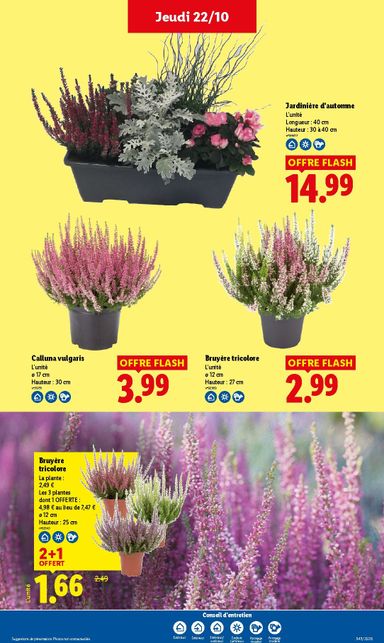 Catalogue Lidl - Lidl valable dès le 22/10 au 28/10 - page 34