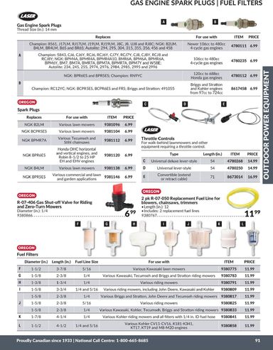 Flyer Princess Auto - Princess Auto - Outdoor Power Equipment valid since 04-21 until 12-31 - page 45