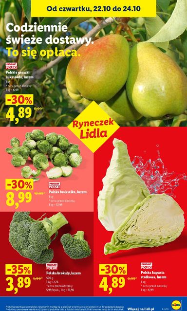 Gazetka Lidl - Lidl od 22.10. do 24.10. - strona 49