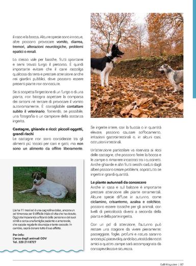 Volantino Gulliver - Gulliver - Gulli Ottobre valido dal 01/10 al 31/10 - pagina 87