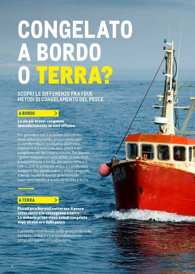 Volantino METRO - Metro - Catalogo Surgelati valido dal 01/01 al 31/12 - pagina 8