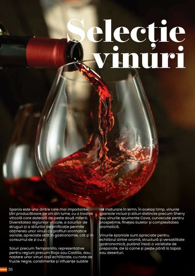 Catalogul Metro - Metro - Eat Spain, drink Spain de la 30.03. până la 31.12. - pagina 36