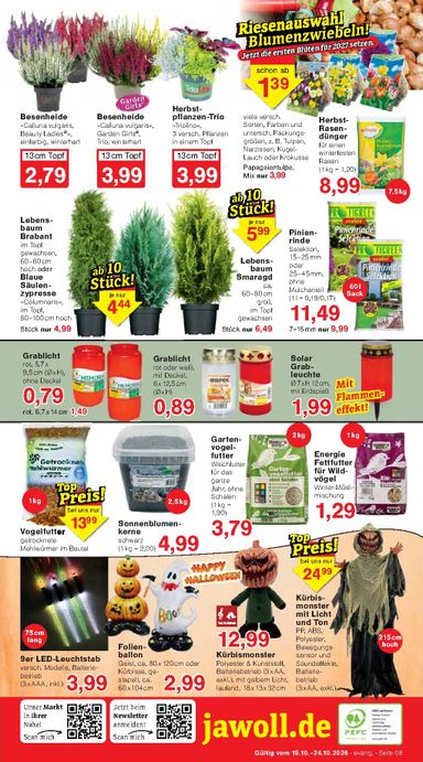 Prospekt Jawoll - Jawoll gültig ab 19.10. bis 24.10. - seite 12