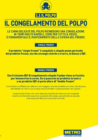Volantino METRO - Metro - Catalogo Surgelati valido dal 01/01 al 31/12 - pagina 17