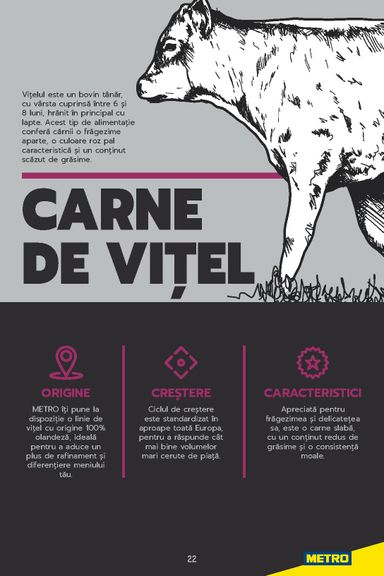 Catalogul Metro - Metro - Carne pentru Profesioniști de la 01.01. până la 31.12. - pagina 22