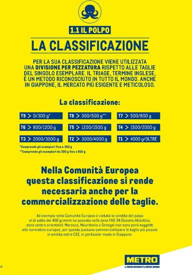 Volantino METRO - Metro - Catalogo Surgelati valido dal 01/01 al 31/12 - pagina 15