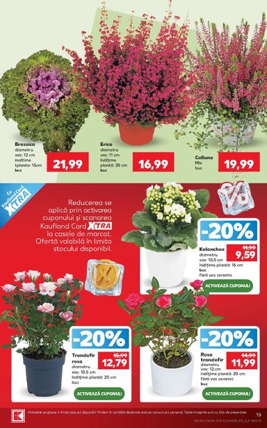 Catalogul Kaufland - Kaufland de la 28.10. până la 03.11. - pagina 15