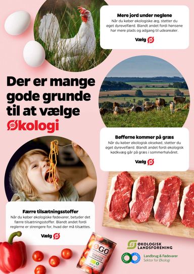 Brochurer Netto - Netto gyldig fra 31.10. til 06.11. - side 4