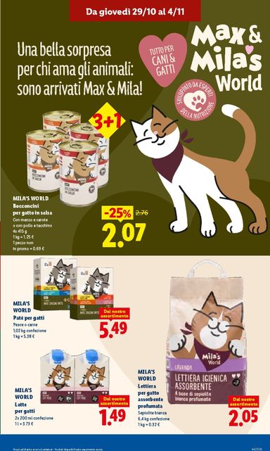 Volantino Lidl - Lidl valido dal 29/10 al 04/11 - pagina 13