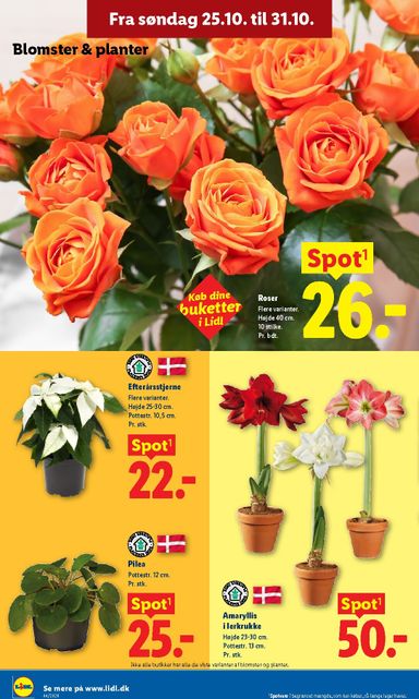 Brochurer Lidl - Lidl gyldig fra 25.10. til 31.10. - side 30
