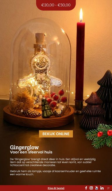 Folder Makro - Makro - Kerstpaketten catalogus van 20-10 tot 31-12 - side 17