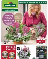 Dehner-Prospekt von Mittwoch 14.10.