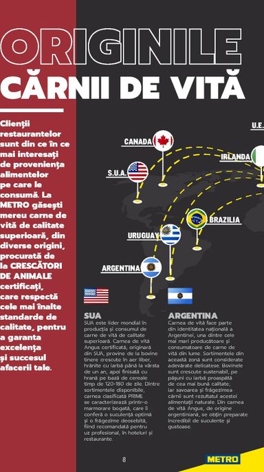 Catalogul Metro - Metro - Carne pentru Profesioniști de la 01.01. până la 31.12. - pagina 8