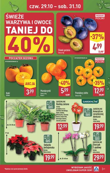 Gazetka ALDI - ALDI od 26.10. do 31.10. - strona 41