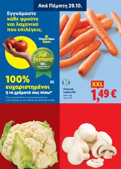 Φυλλάδιο Lidl από πέμπτης 29/10