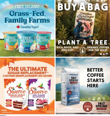 Flyer Fortinos - Fortinos valid since 10-22 until 10-28 - page 25