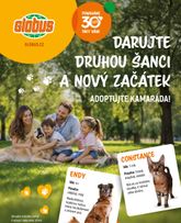 Globus - Adoptujte kamaráda platný od neděle 06.09.2026