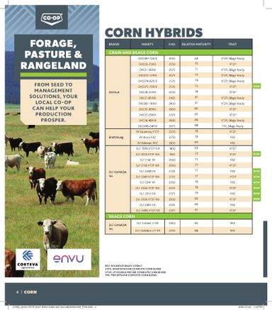 Flyer Co-op - Coop - Seed & Inoculant Guide valid since 08-20 until 08-01 - page 4