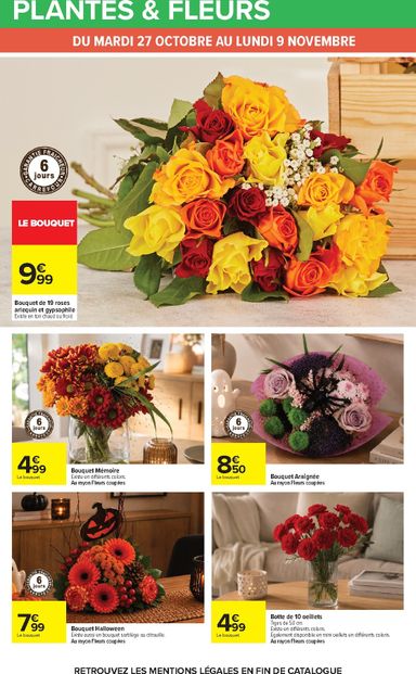 Catalogue Carrefour - Carrefour valable dès le 27/10 au 09/11 - page 29