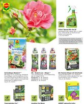 toom-Prospekt von Sonntag 01.03.