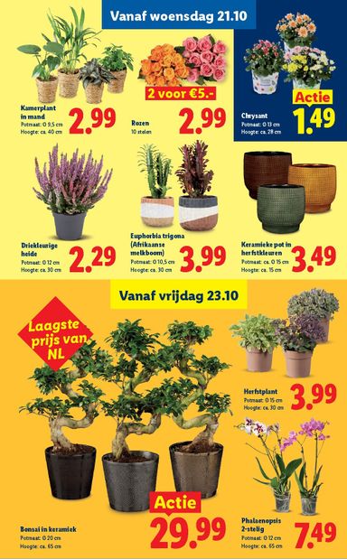 Folder Lidl - Lidl van 19-10 tot 25-10 - side 17