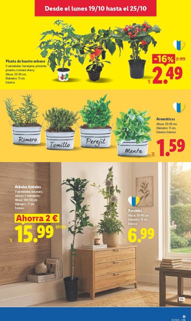 Folleto Lidl - Lidl - Islas Canarias del 19/10 al 25/10 - página 25