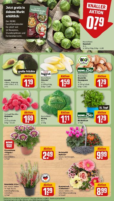 Folder Rewe DE - Rewe DE van 19-10 tot 25-10 - side 11